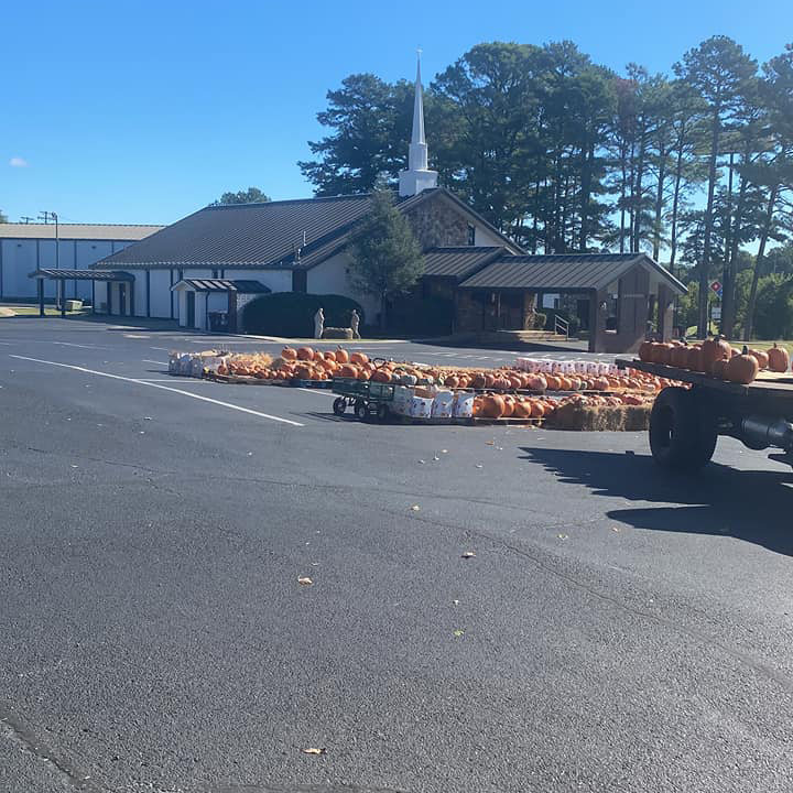 Pumpkin patch